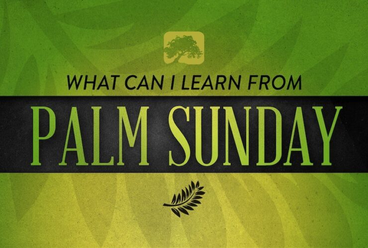 What Can I Learn From Palm Sunday?